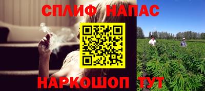 стафф Бердск