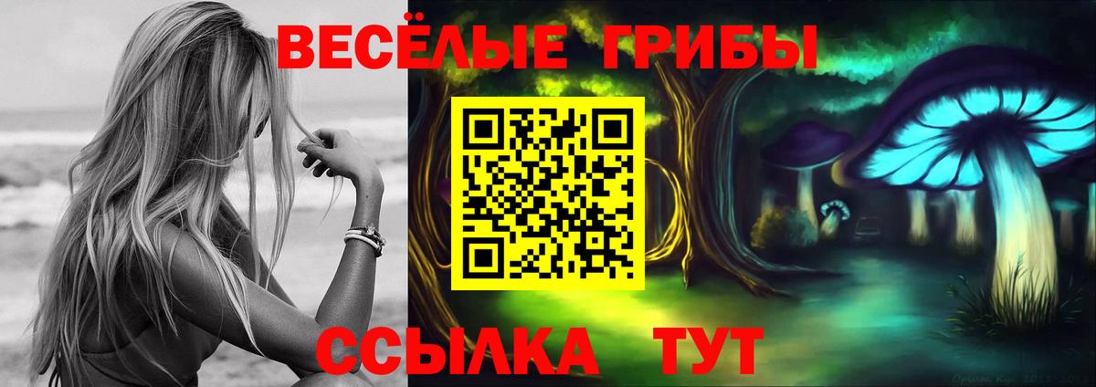Псилоцибиновые грибы Psilocybine cubensis  Псилоцибиновые грибы мицелий  Вход с VPN  Богданович 