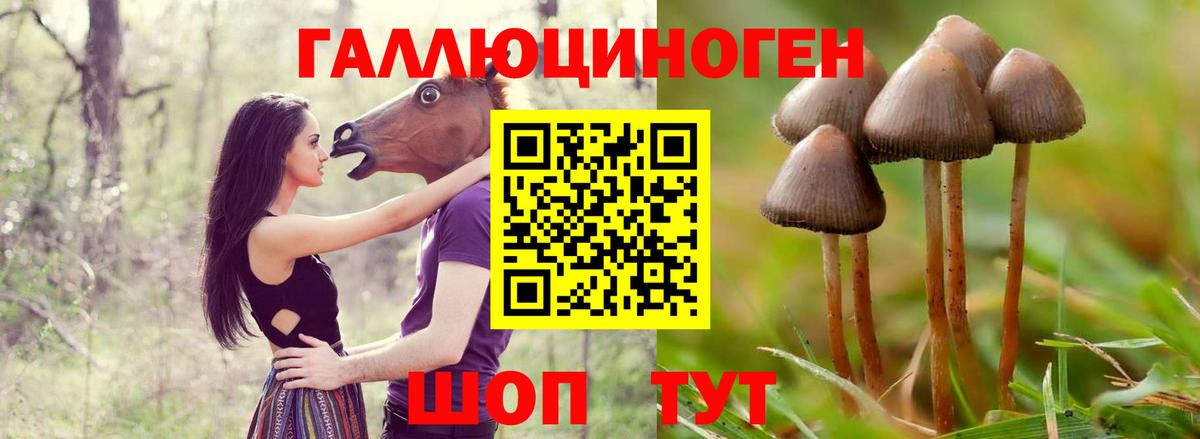 Галлюциногенные грибы прущие грибы Богданович