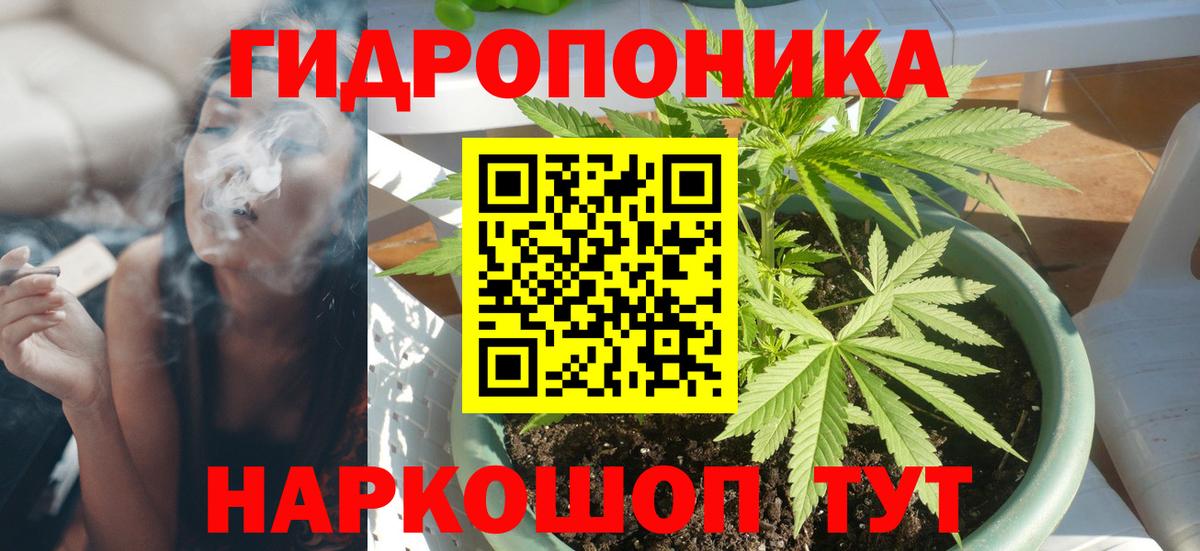 Богданович  Конопля семена  Бошки Шишки семена  Шишки марихуана White Widow  Вход с VPN 