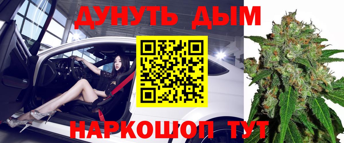 Конопля индика Богданович